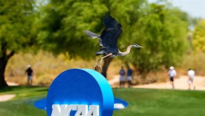 Duke men's golf learns regional draw for NCAA postseason