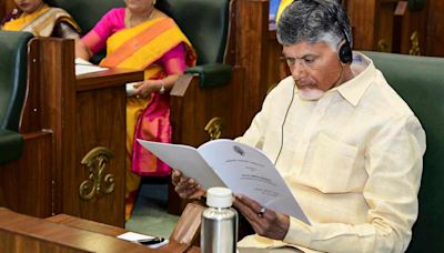 Despite budget bonanza, Andhra will have to do more to ensure growth