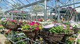 Flower show to open with window display trail