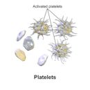 Thrombocythemia