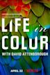 Vida en Color (Documental)