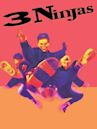 3 Ninjas (film)