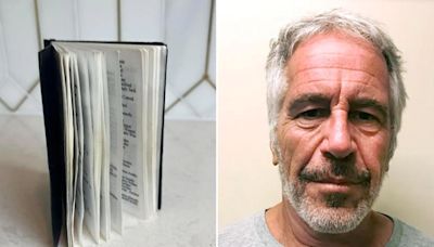 Jeffrey Epstein’s ‘black book’ with 221 additional high-profile names is being sold to a secret bidder
