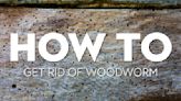 How to get rid of woodworm, and identify an infestation