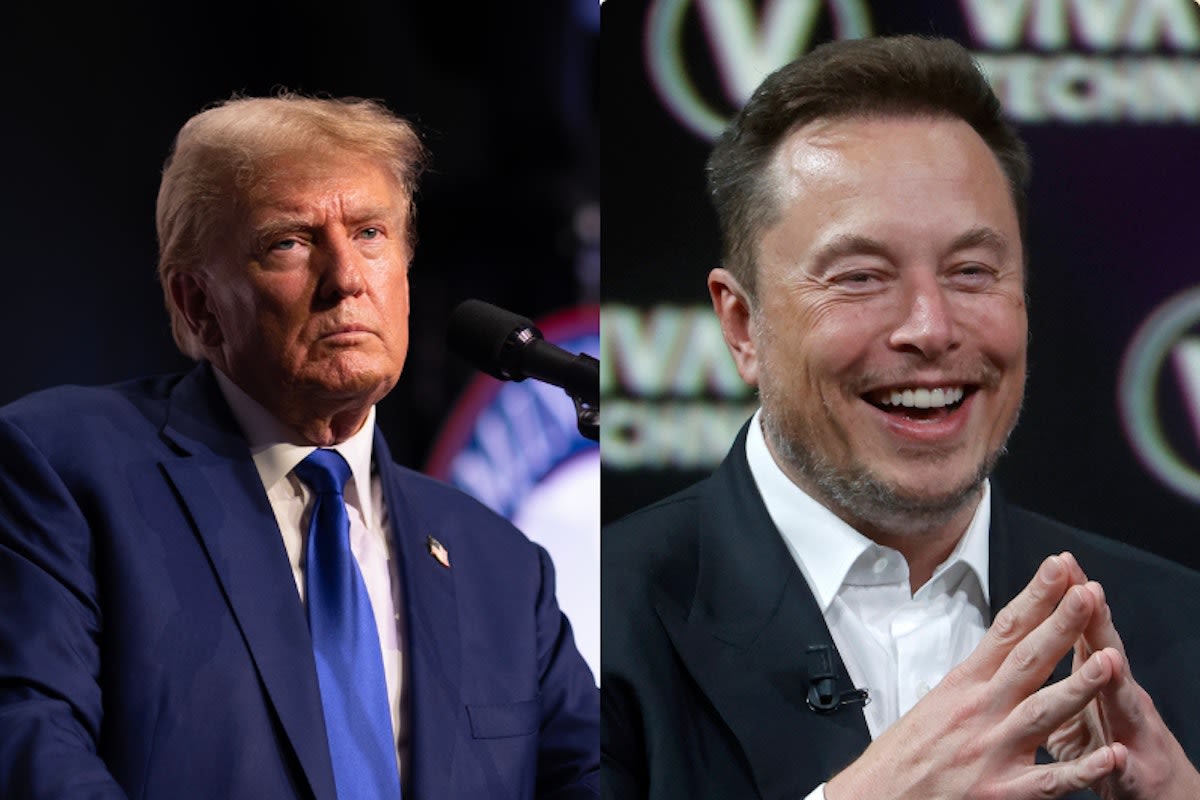 Trump Is Plotting a Key Role for Elon Musk if He Wins the Election