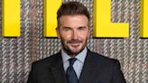 David Beckham Celebrates 3 New Feathered 'Additions to the Family'