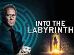 L'Homme du labyrinthe