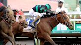 Who will win the Preakness Stakes? Horses, odds, expert picks and more for 2024 Triple Crown race | Sporting News Australia