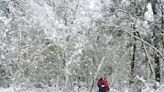 陽明山馬祖降雪！拉拉山雪況4K即時影像！免出門線上賞雪