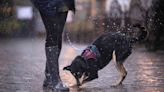 4 Health Benefits of Walking in the Rain, According to Experts