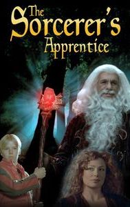 The Sorcerer's Apprentice