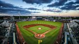 A turtle stole the show at Bradenton Marauders baseball game. Here’s how it happened