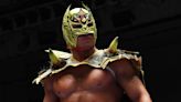 International Lucha Superstar Dragon Lee Signs With WWE: 'I Can Become The New Rey Mysterio'