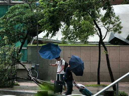 首颱艾維尼下周恐生成！氣象專家曝預測路徑，全台連下4天雨-風傳媒