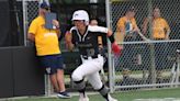 SOFTBALL: Allen Park avenges earlier loss to Trenton in season series sequel of state powers