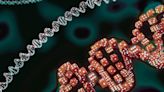 MIT Reveals Hidden Codes in DNA: A Breakthrough That Could Revolutionize Medicine