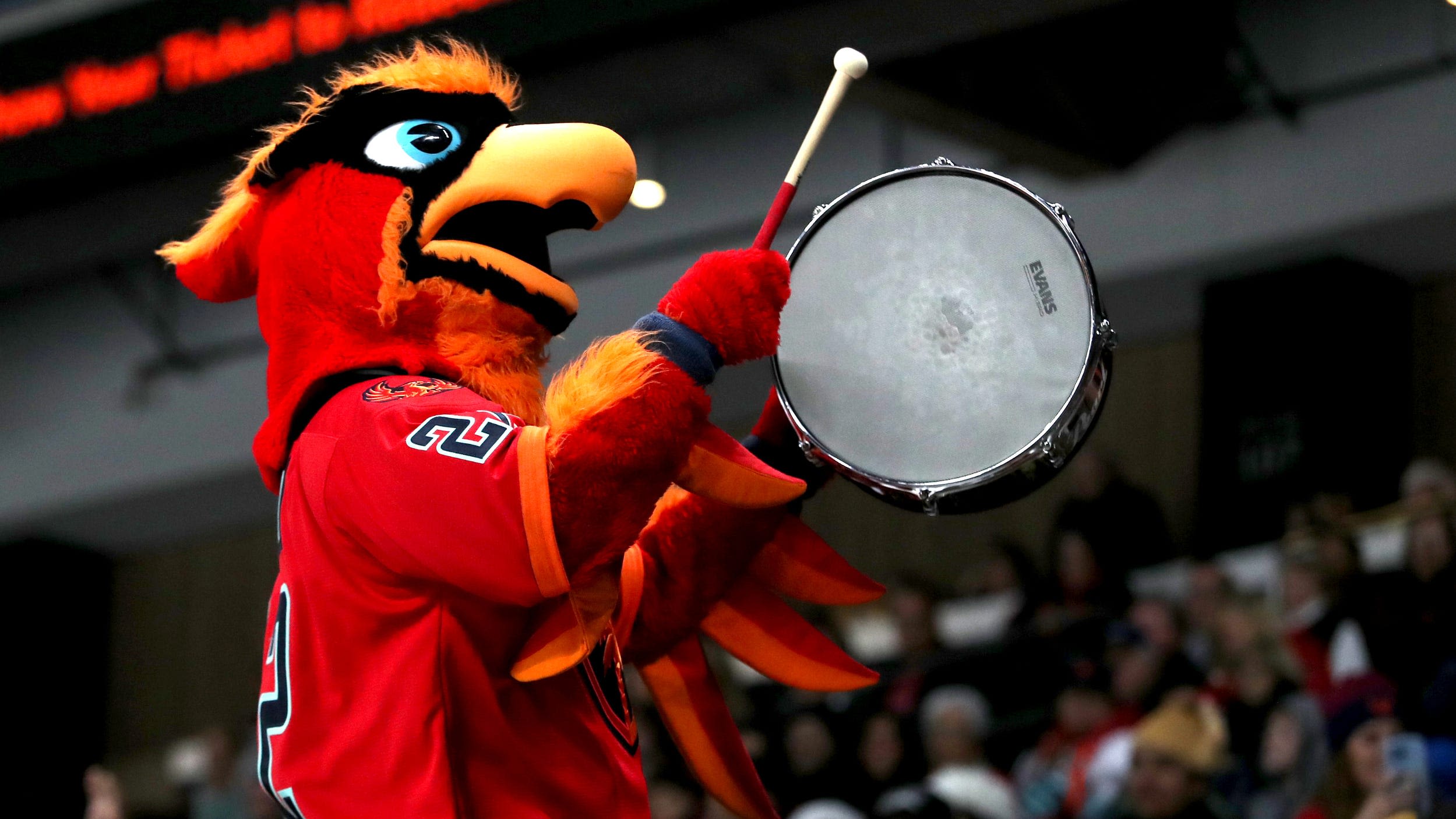 Firebirds vs. Admirals live: How to watch pivotal AHL playoff Game 4 on TV, score updates