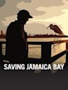 Saving Jamaica Bay