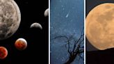 Calendario lunar agosto 2024: fases lunares, lluvia de estrellas Perseidas y Luna llena de Esturión