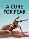 A Cure For Fear