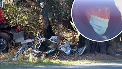 Driver pleads guilty over crash near Victoria-NSW border that killed five