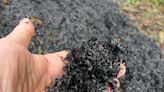 努力小農》生物炭是減碳工具 如何趨吉避凶？