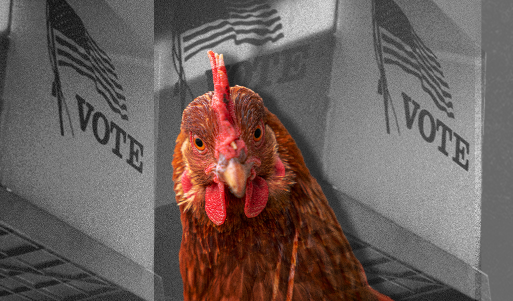 Right-wing media figures are declaring bird flu the next “plandemic”