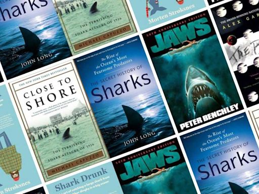 The 23 Best Shark Books of All Time