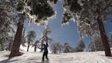 Commentary: Spring is a real thing in L.A., if you go to the mountains