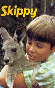 Skippy the Bush Kangaroo