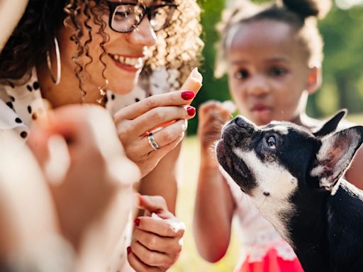 Don’t miss these top five trainer-approved tips for raising a puppy — they'll make your life so much easier!