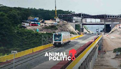 Construcción del Tramo 7 del Tren Maya sigue pese a suspensión judicial y denuncia de desacato