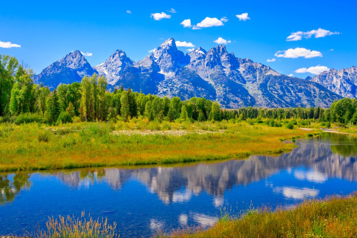 Grizzly bear attacks and seriously injures man in Wyoming’s Grand Teton National Park