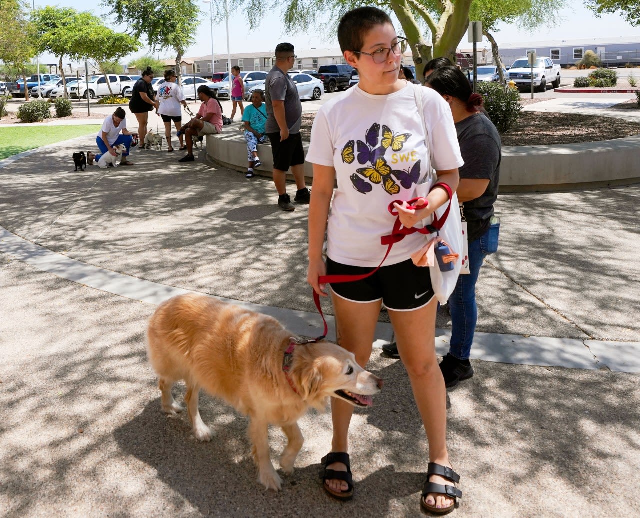 ThunderShirts, dance parties and anxiety meds can help ease dogs’ July Fourth dread