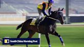 Fownes backs Arron to hold his own at Meydan, says ‘this horse has more quality’