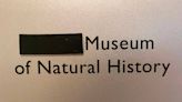 Professor touted racist theories. Now Tacoma university will remove his name from museum