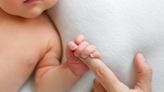 Una conexión para toda la vida: descubren las neuronas que crean el vínculo entre los bebés y las madres