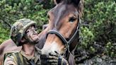 El US Army despliega un nuevo arma: mulas robóticas para ayudar a sus soldados a transportar cosas