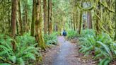 A weekend at Olympic National Park’s north end | Provided by Western Washington Toyota Dealers