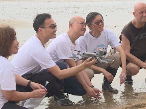 中大科研團隊以無人機拍攝 統計馬蹄蟹數量
