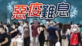 今增5564確診 輸入佔385宗 多5患者離世