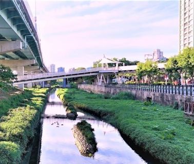 從都市到大自然 探索板橋湳仔溝的綠色轉變 - 寶島