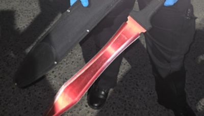 Huge machete seized as two detained in Woolwich on night of Euros final