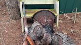 Christine Thomas: Luck is a lady in the turkey woods - Outdoor News