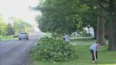 Central Illinois cleaning up storm damage