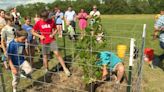 Tecumseh South students plant ‘Moon Tree’ back from trip to space