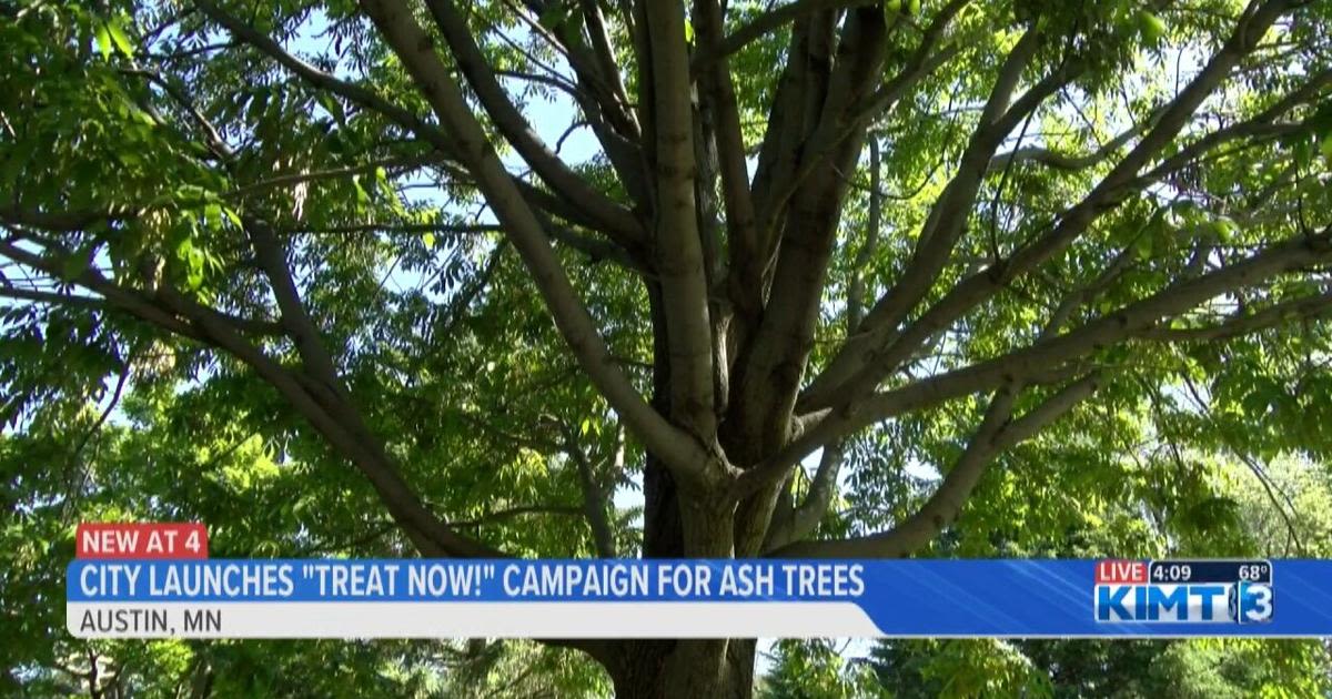 The City of Austin launches "Treat Now!" campaign to protect ash trees
