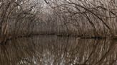 Scout Motors project leads to new nature preserve near Columbia. Here’s a look