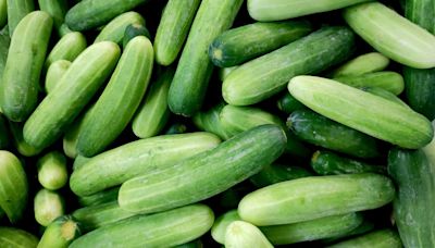 Cucumber Recall Updated, FDA Reveals Almost 70 Hospitalizations