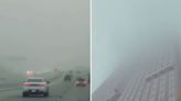 Dallas envuelta en niebla: Una “ciudad fantasma” tras las tormentas